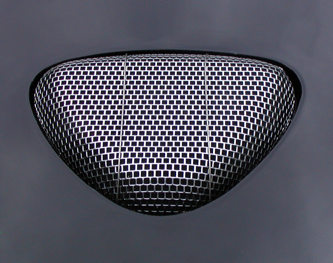 Air cleaner showing through hood.